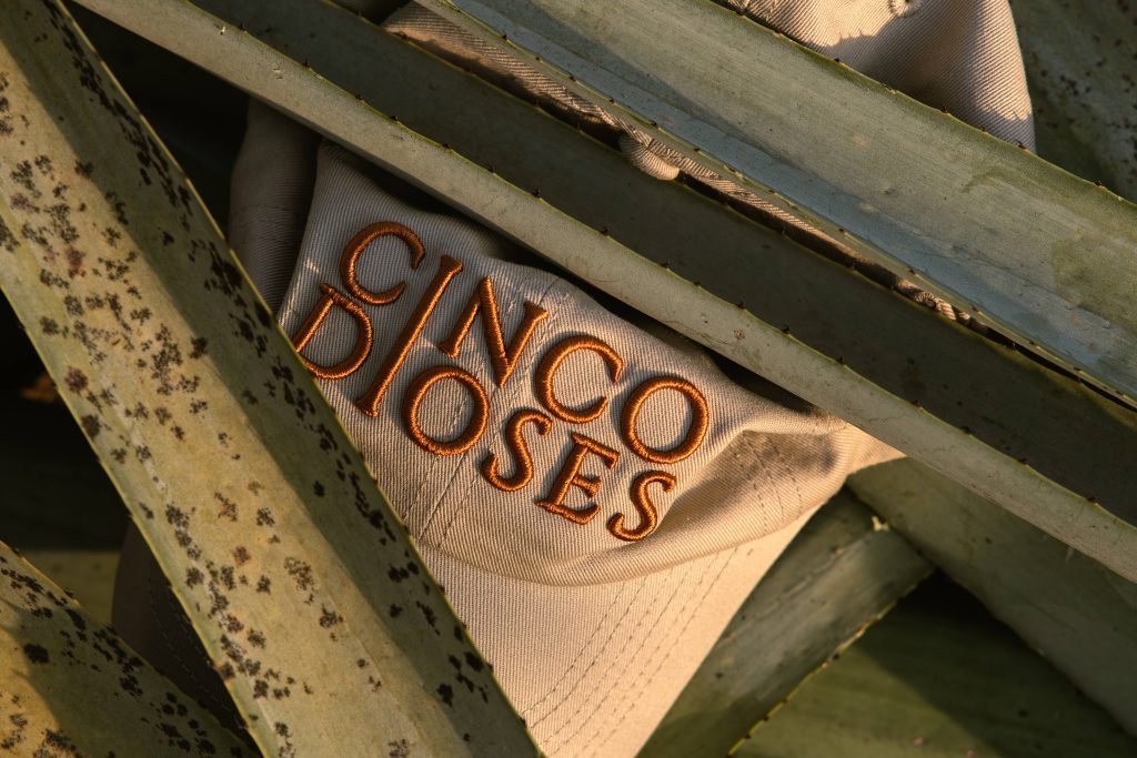 Cinco Dioses - Imagen 2